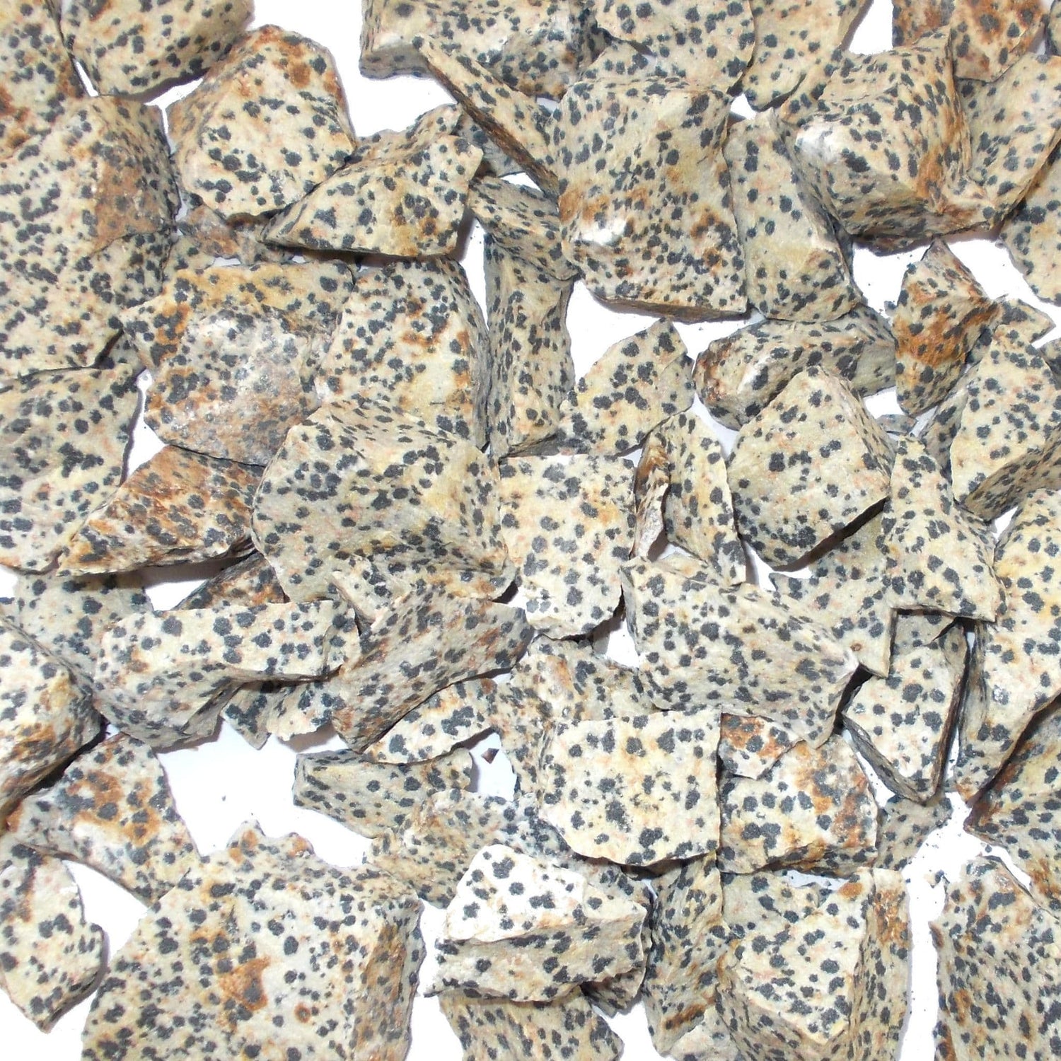 dalmatian jasper