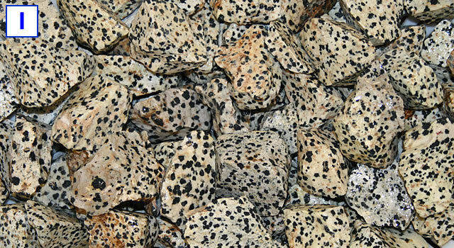 DALMATIAN JASPER